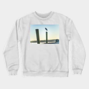 Great Blue Heron on a fishing dock Crewneck Sweatshirt